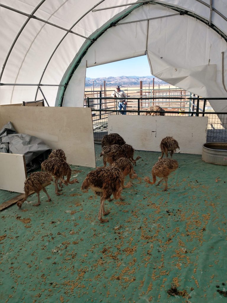 IMG_20201122_095002668_HDR