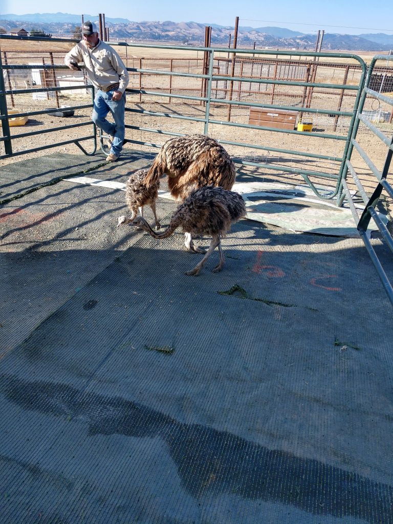 IMG_20201122_095018669_HDR