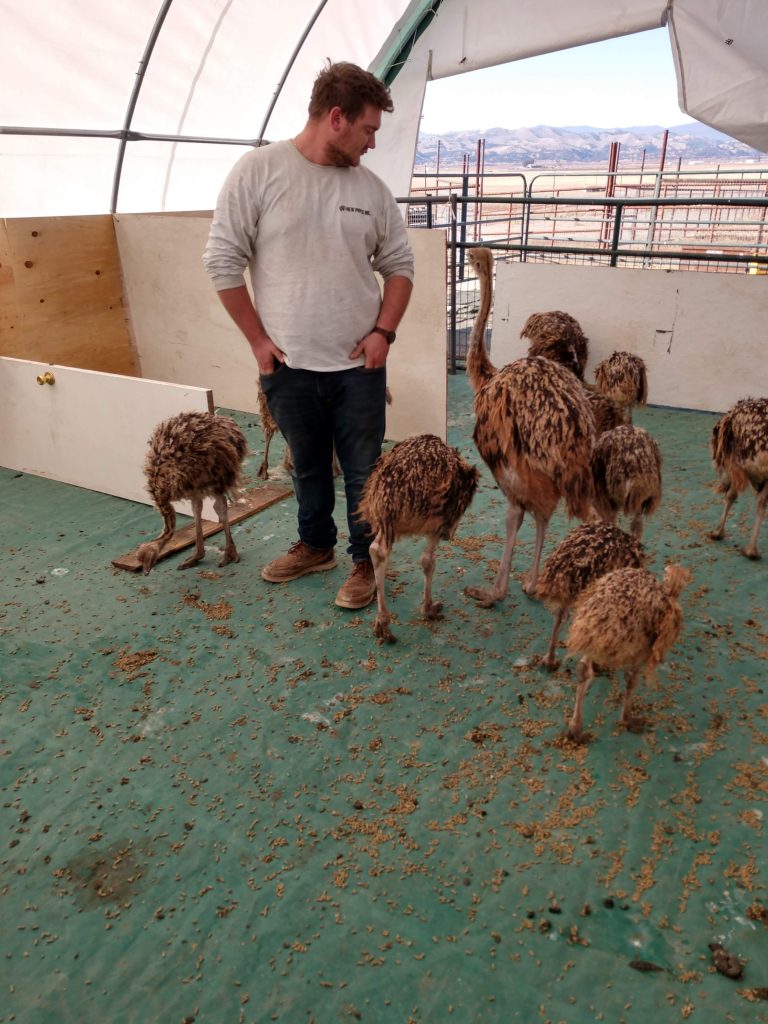 IMG_20201122_101515354_HDR