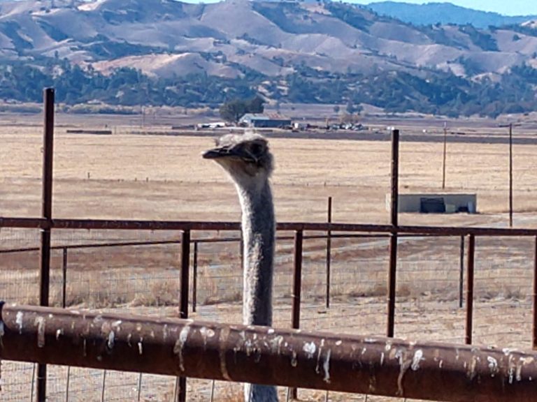 IMG_20201123_120709707_HDR