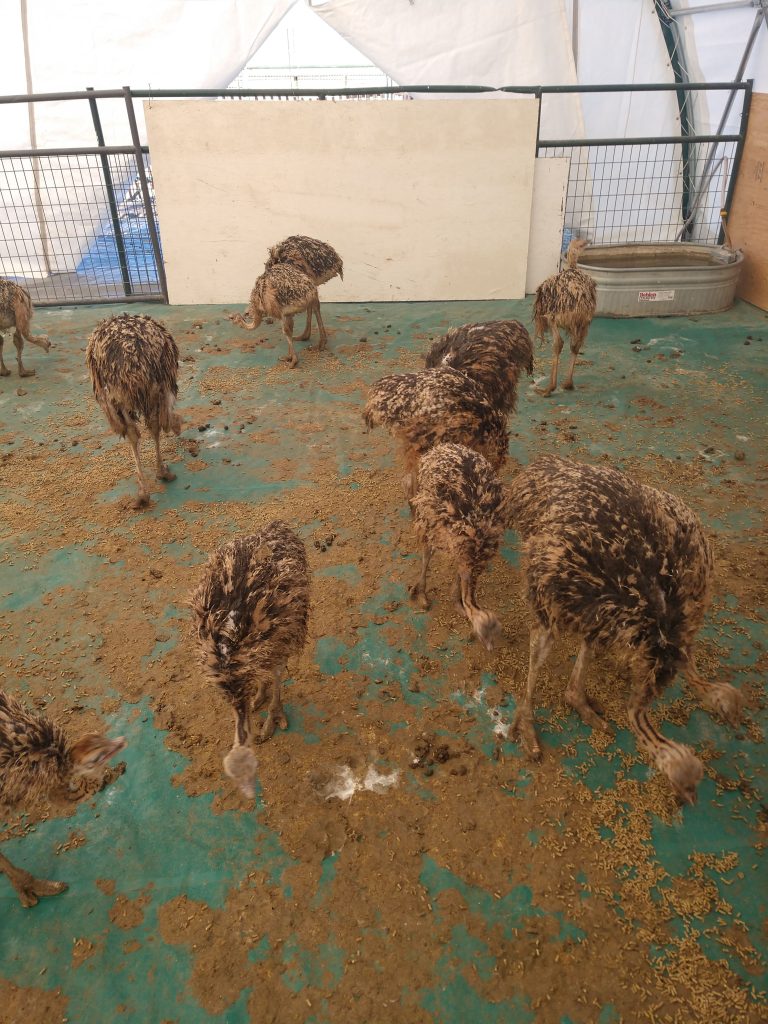 IMG_20201126_082626308