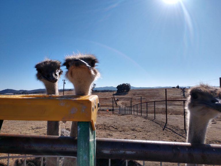 IMG_20201201_131219179_HDR