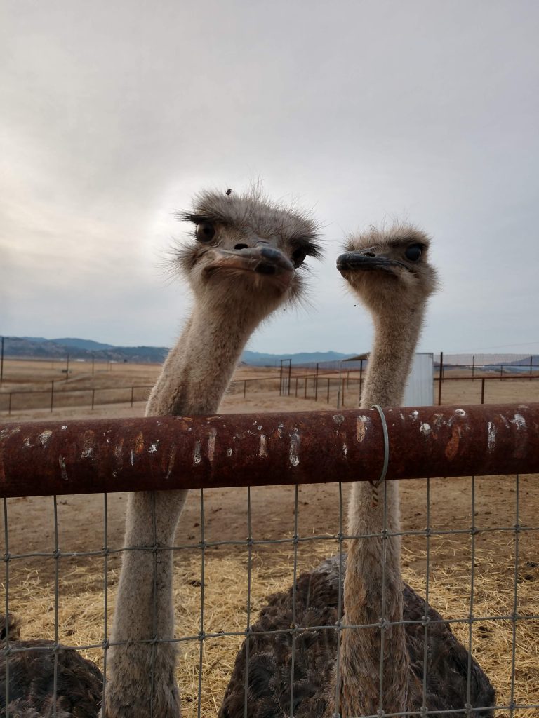 IMG_20201223_161922601_HDR