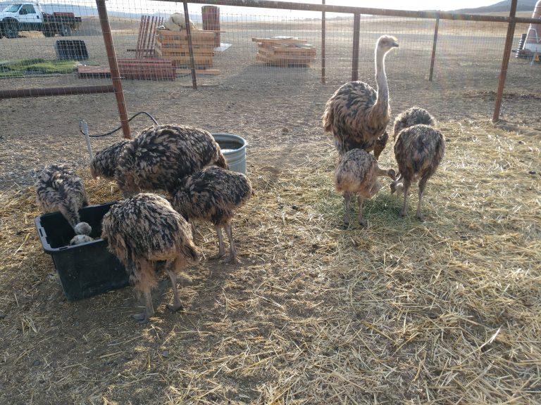 IMG_20201227_081446932