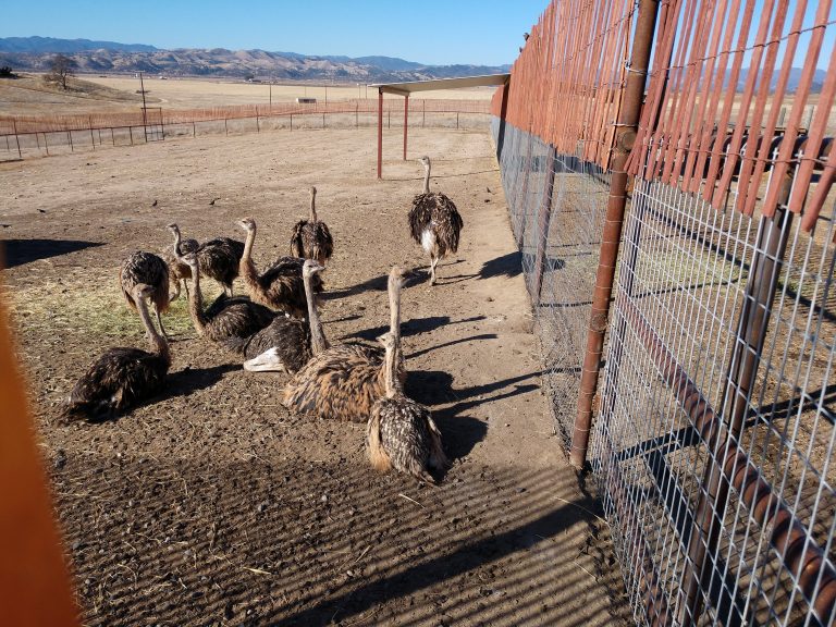 IMG_20210120_100946344