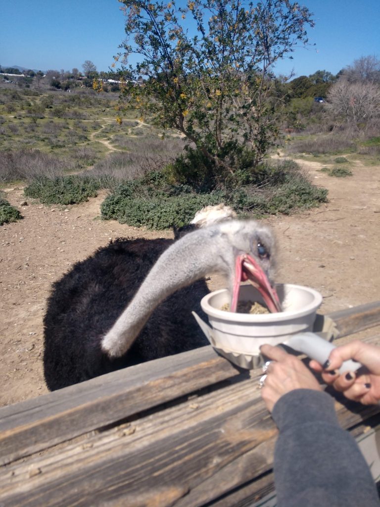 IMG_20210322_123916859_HDR