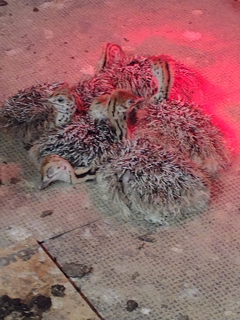 IMG_20230422_105533682