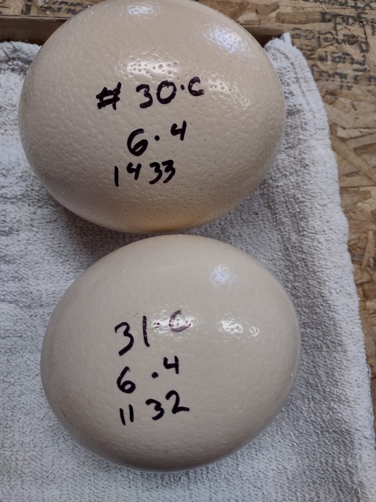 IMG_20230604_085634678_HDR