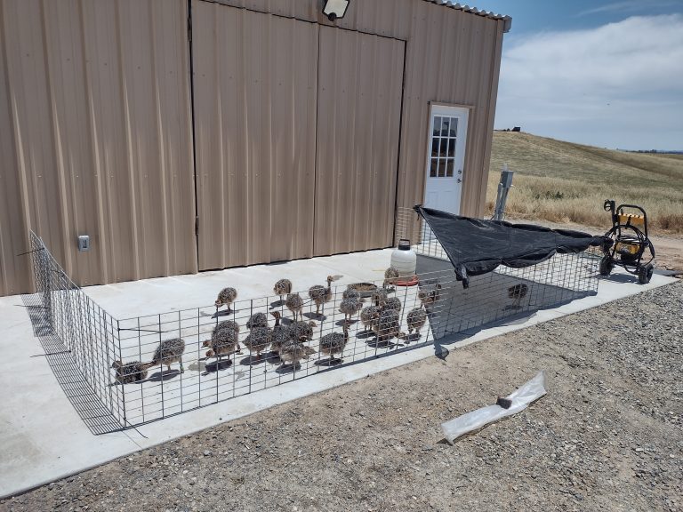 IMG_20230611_125352490_HDR