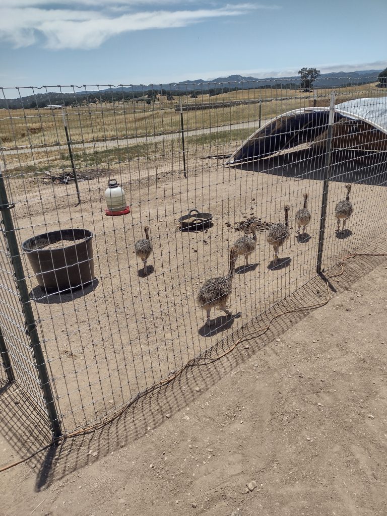 IMG_20230611_130128592_HDR