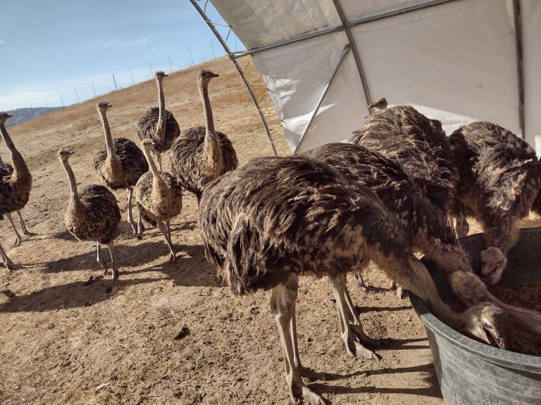 IMG_20231201_112906447_HDR