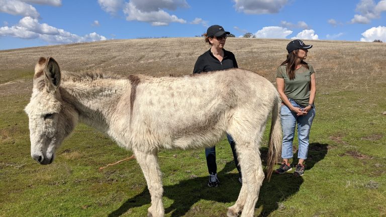 PXL_20210312_214207699